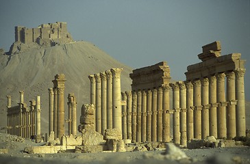 Image showing SYRIA PALMYRA ROMAN RUINS