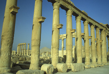 Image showing SYRIA PALMYRA ROMAN RUINS