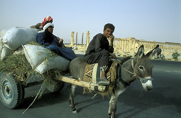 Image showing SYRIA PALMYRA ROMAN RUINS