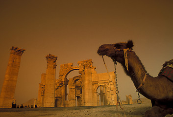 Image showing SYRIA PALMYRA ROMAN RUINS