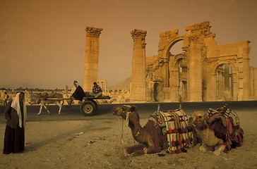 Image showing SYRIA PALMYRA ROMAN RUINS