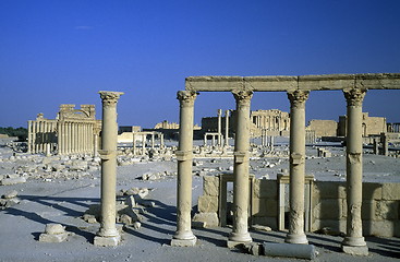 Image showing SYRIA PALMYRA ROMAN RUINS