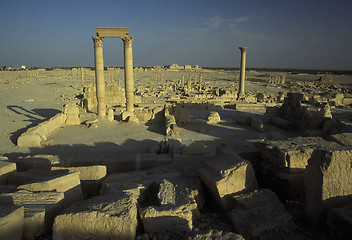 Image showing SYRIA PALMYRA ROMAN RUINS