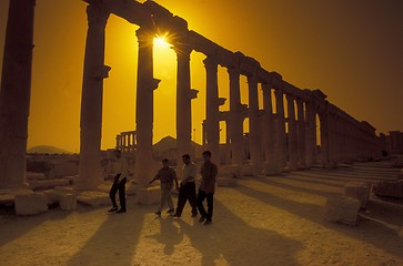 Image showing SYRIA PALMYRA ROMAN RUINS