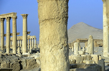 Image showing SYRIA PALMYRA ROMAN RUINS