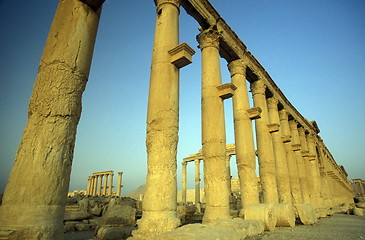 Image showing SYRIA PALMYRA ROMAN RUINS