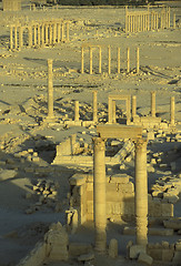 Image showing SYRIA PALMYRA ROMAN RUINS