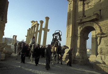 Image showing SYRIA PALMYRA ROMAN RUINS