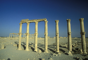 Image showing SYRIA PALMYRA ROMAN RUINS