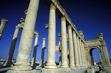 Image showing SYRIA PALMYRA ROMAN RUINS