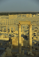 Image showing SYRIA PALMYRA ROMAN RUINS