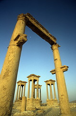 Image showing SYRIA PALMYRA ROMAN RUINS