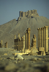 Image showing SYRIA PALMYRA ROMAN RUINS