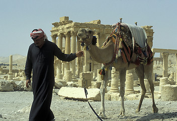 Image showing SYRIA PALMYRA ROMAN RUINS