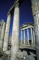 Image showing SYRIA PALMYRA ROMAN RUINS