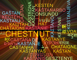 Image showing Chestnut multilanguage wordcloud background concept glowing