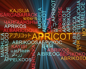 Image showing Apricot multilanguage wordcloud background concept glowing