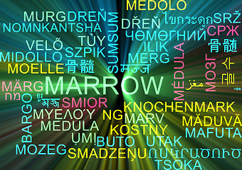 Image showing Marrow multilanguage wordcloud background concept glowing