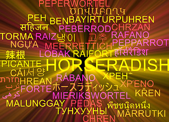 Image showing Horseradish multilanguage wordcloud background concept glowing