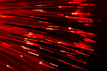 Image showing optical fibres abstract blurred technology background