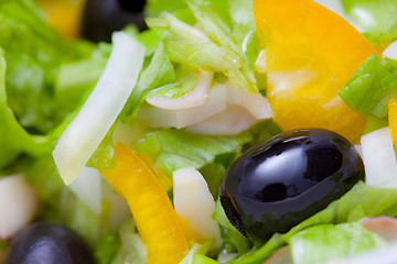 Image showing Assorted salad of green leaf lettuce with squid and black olives