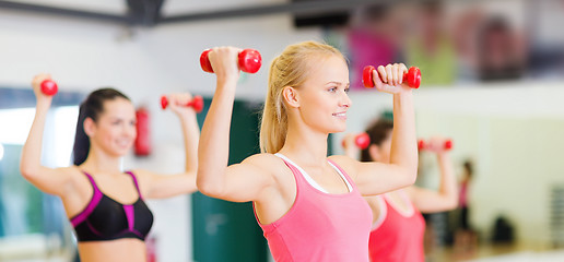 Image showing group of smiling women working out with dumbbells