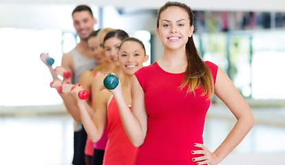 Image showing group of smiling people with dumbbells in the gym