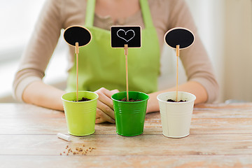 Image showing close up of woman over pots with soil and signs