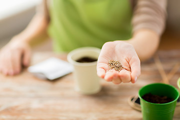 Image showing close up of woman hand holding seeds