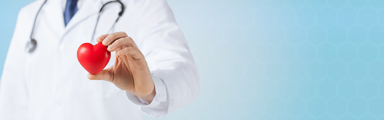 Image showing close up of male doctor hand holding red heart