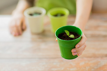 Image showing close up of woman hand holding pot with sprout