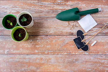 Image showing close up of seedlings, trowel and nameplates