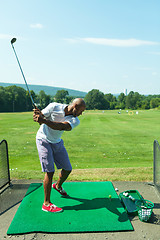 Image showing Golf Swing