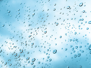 Image showing Rain droplets