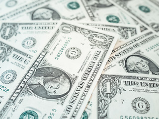 Image showing Dollar notes 1 Dollar