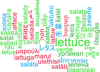 Image showing Lettuce multilanguage wordcloud background concept