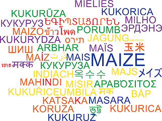 Image showing Maize multilanguage wordcloud background concept