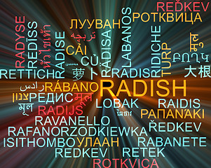 Image showing Radish multilanguage wordcloud background concept glowing