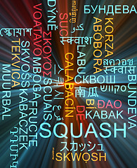 Image showing Squash multilanguage wordcloud background concept glowing