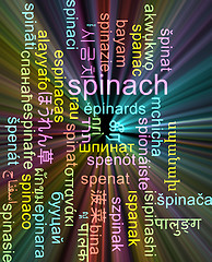 Image showing Spinach multilanguage wordcloud background concept glowing