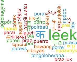 Image showing Leek multilanguage wordcloud background concept