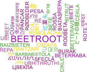 Image showing Beetroot multilanguage wordcloud background concept