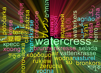 Image showing Watercress multilanguage wordcloud background concept glowing