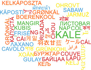 Image showing Kale multilanguage wordcloud background concept