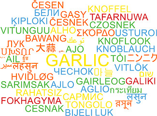 Image showing Garlic multilanguage wordcloud background concept