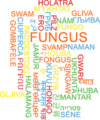 Image showing Fungus multilanguage wordcloud background concept