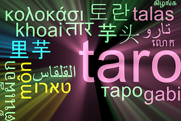 Image showing Taro multilanguage wordcloud background concept glowing