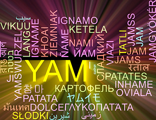 Image showing Yam multilanguage wordcloud background concept glowing