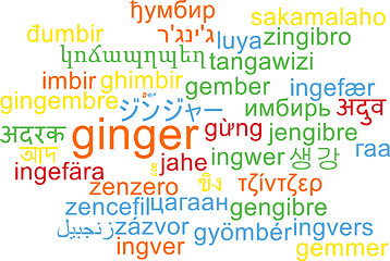 Image showing Ginger multilanguage wordcloud background concept