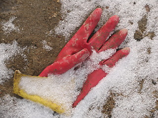 Image showing Rubber glove